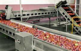 نوار نقاله چیست و چرا در صنعت ضروری است؟ بررسی مزایا و کاربردها