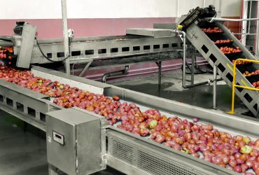 نوار نقاله چیست و چرا در صنعت ضروری است؟ بررسی مزایا و کاربردها